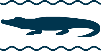 Crocodile